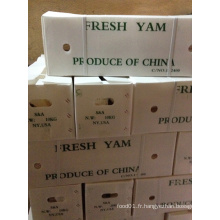 Yam frais chinois pour l&#39;exportation (Dia: 2-3cm)